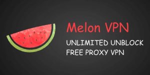 Melon VPN MOD APK 1