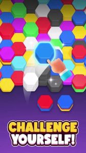 Hexa Sort MOD APK 8