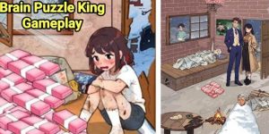 Brain Puzzle King APK 1