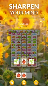 Zen Match MOD APK 2