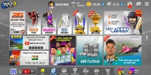 World Cricket Championship 3 MOD APK 4